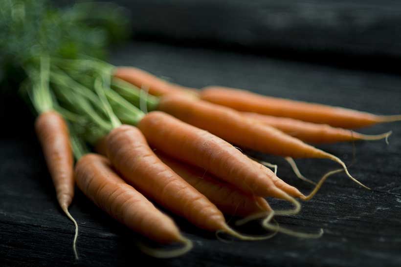 Lots de carottes.