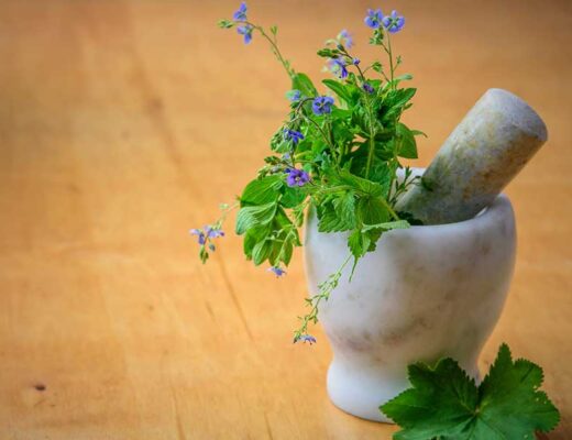 Un pot avec des fleurs vont être réduit en poudre pour une formule pythothérapique.