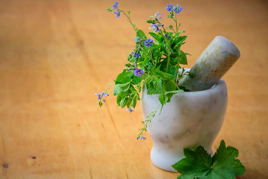 Un pot avec des fleurs vont être réduit en poudre pour une formule pythothérapique.